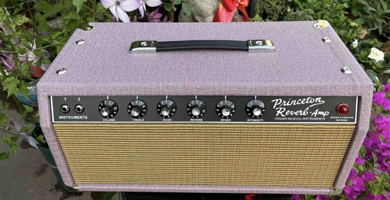 カスタム ハンドワイヤード AA764回路 管駆動のスプリングリバーブとトリモロ CLASSIC REVERB AND TREMOLO サプライヤー