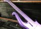 質の高いシールカバーピックアップ 紫のプリンス ネックセット 塗装されたフレットバードプリンス 電動ギター ギター サプライヤー