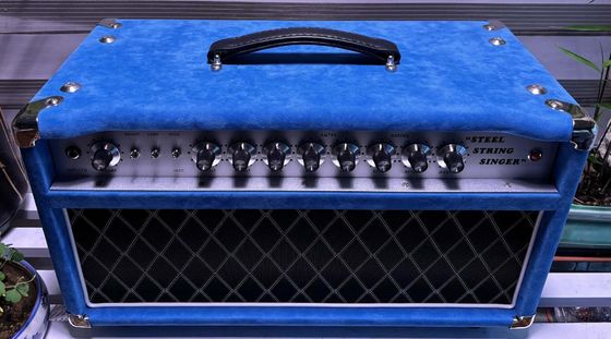 カスタムDスタイル スチール弦 シンガーヘッド 20W 50W 100W スエードブルーカラー、グランドアンプ SSSモデル サプライヤー
